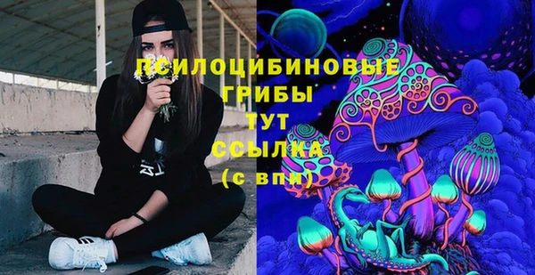 мяу мяу мука Гусиноозёрск