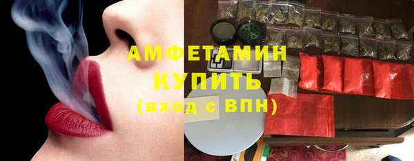 скорость Вяземский