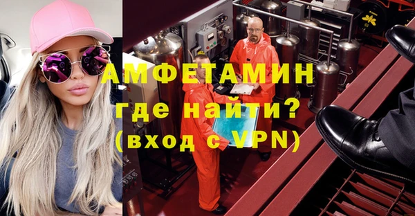шишки Горно-Алтайск