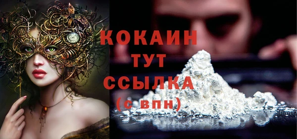 ECSTASY Горняк