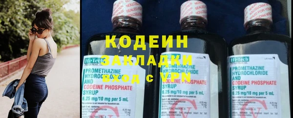 шишки Горно-Алтайск