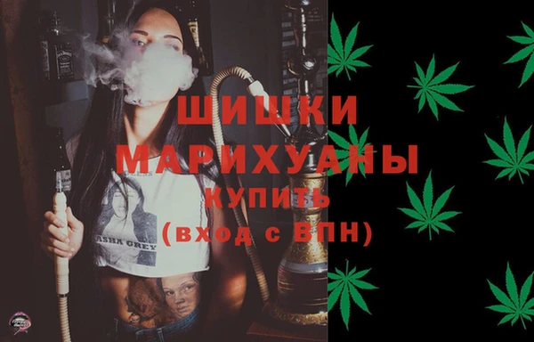 ECSTASY Горняк