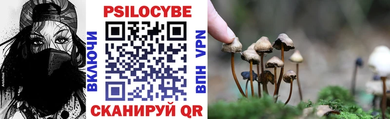 Псилоцибиновые грибы Psilocybe  Богучар 